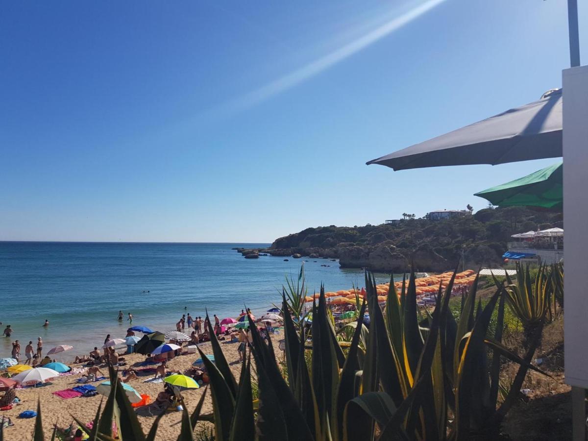 Candyland Albufeira